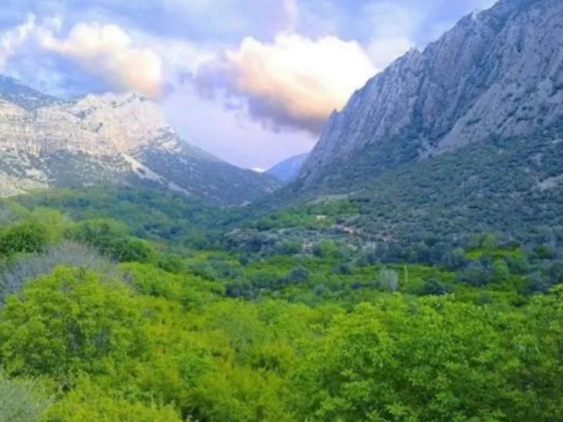 حس و حالِ تنگه بوان در نورآبادممسنی