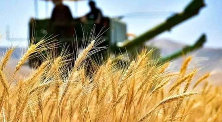 پرداخت مطالبات گندم‌کاران فارس طی روزهای آینده